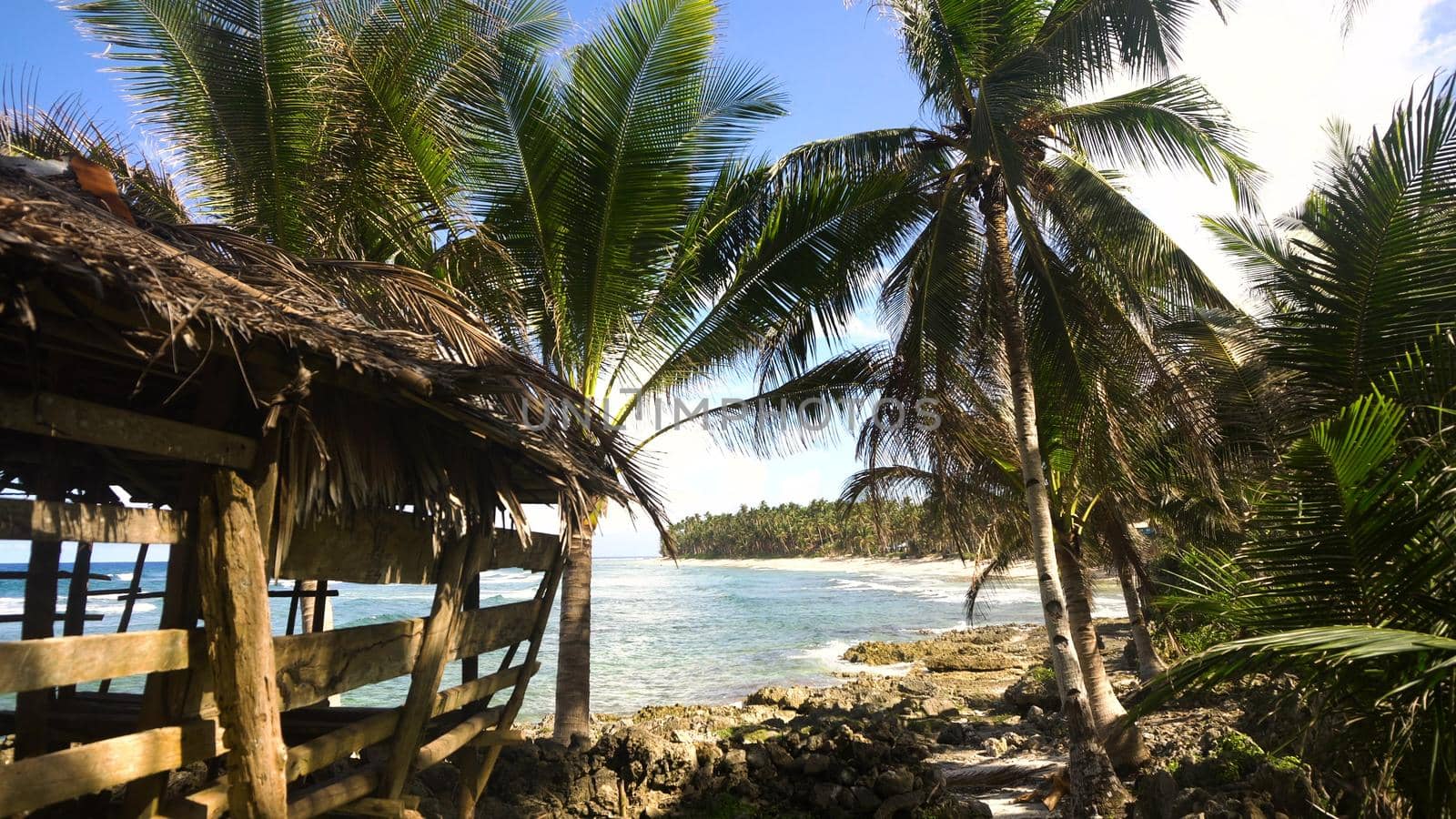 Beautiful tropical island with sand beach, palm trees.Seascape ocean and beautiful beach paradise, Siargao, Philippines. Tropical landscape: beach with palm trees. Travel concept.