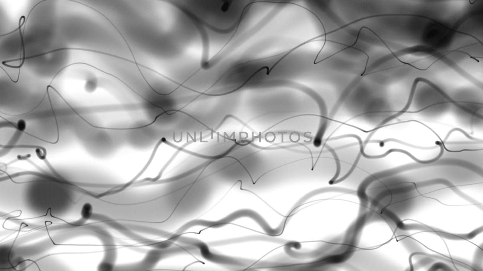 Abstract Black And White Wave smoke illustration