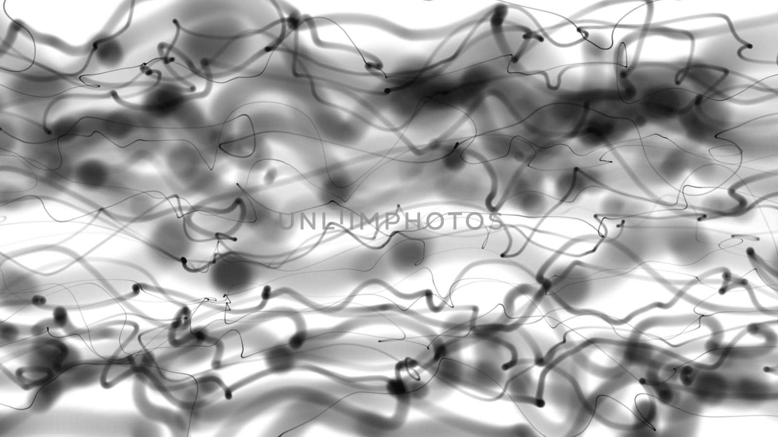 Abstract Black And White Wave smoke illustration