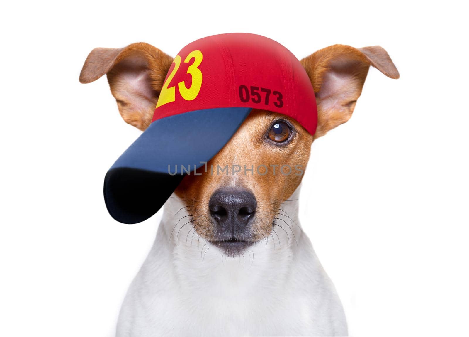 cool baseball cap urban dog  by Brosch