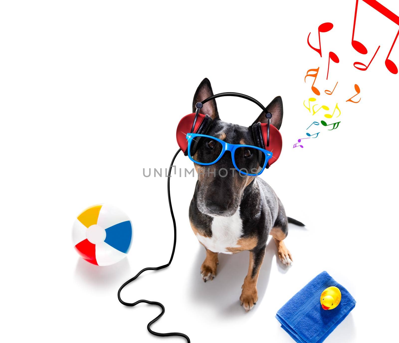 dj disco dancing music dog on summer vacations by Brosch