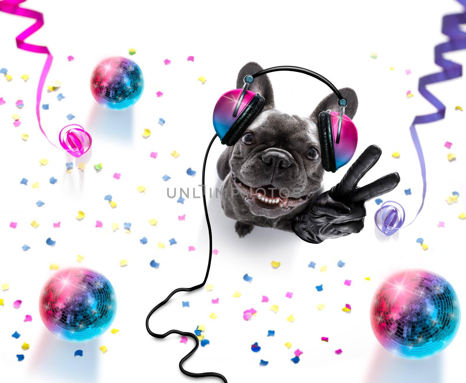 french bulldog  dog playing music in a club with disco ball , isolated on white background, with vinyl record