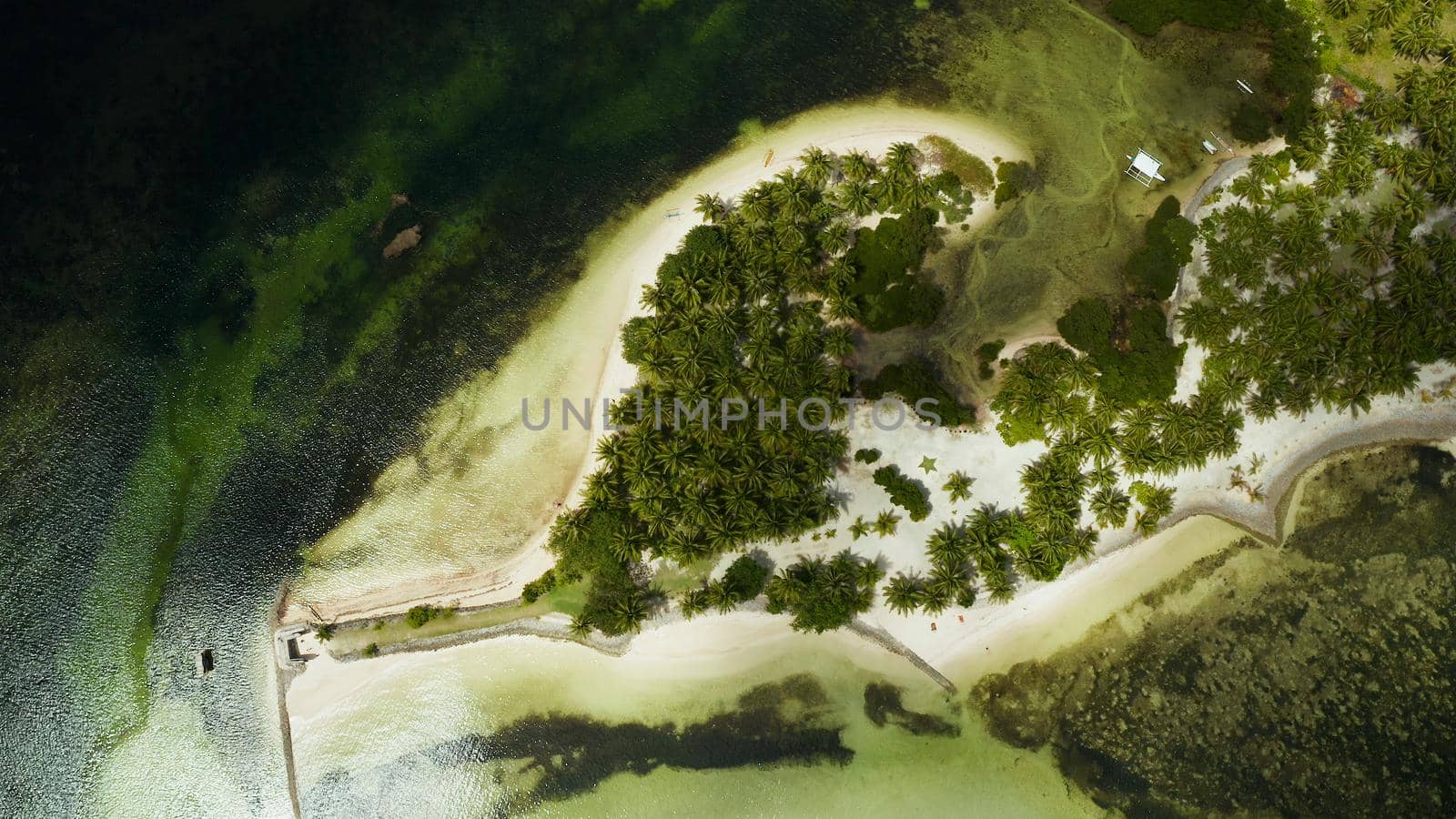 Aerial view: tropical sandy beach with palm trees and blue water. Summer and travel vacation concept. Siargao,Philippines.