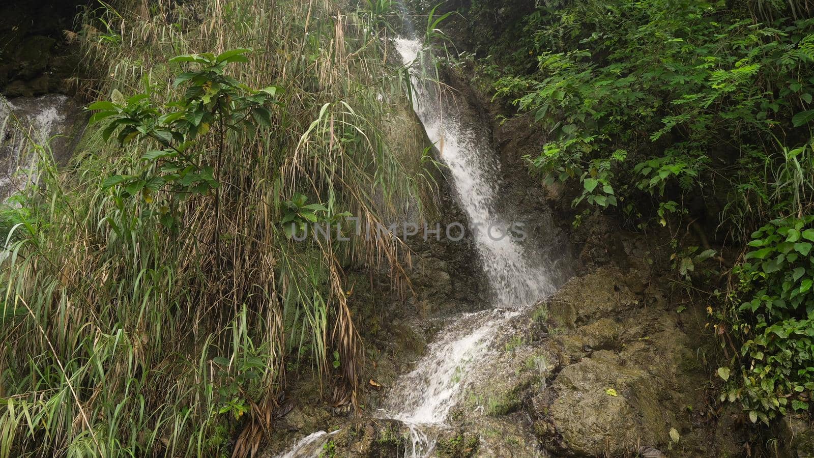 Waterfall in green forest in jungle. Beautiful waterfall in the mountains. Tropical rain forest with waterfall. Philippines, Cebu. Travel concept.