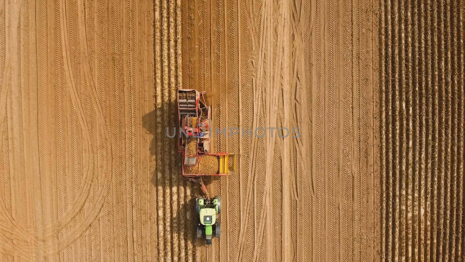 Farm machinery harvesting potatoes. Farmer field with a potato crop.