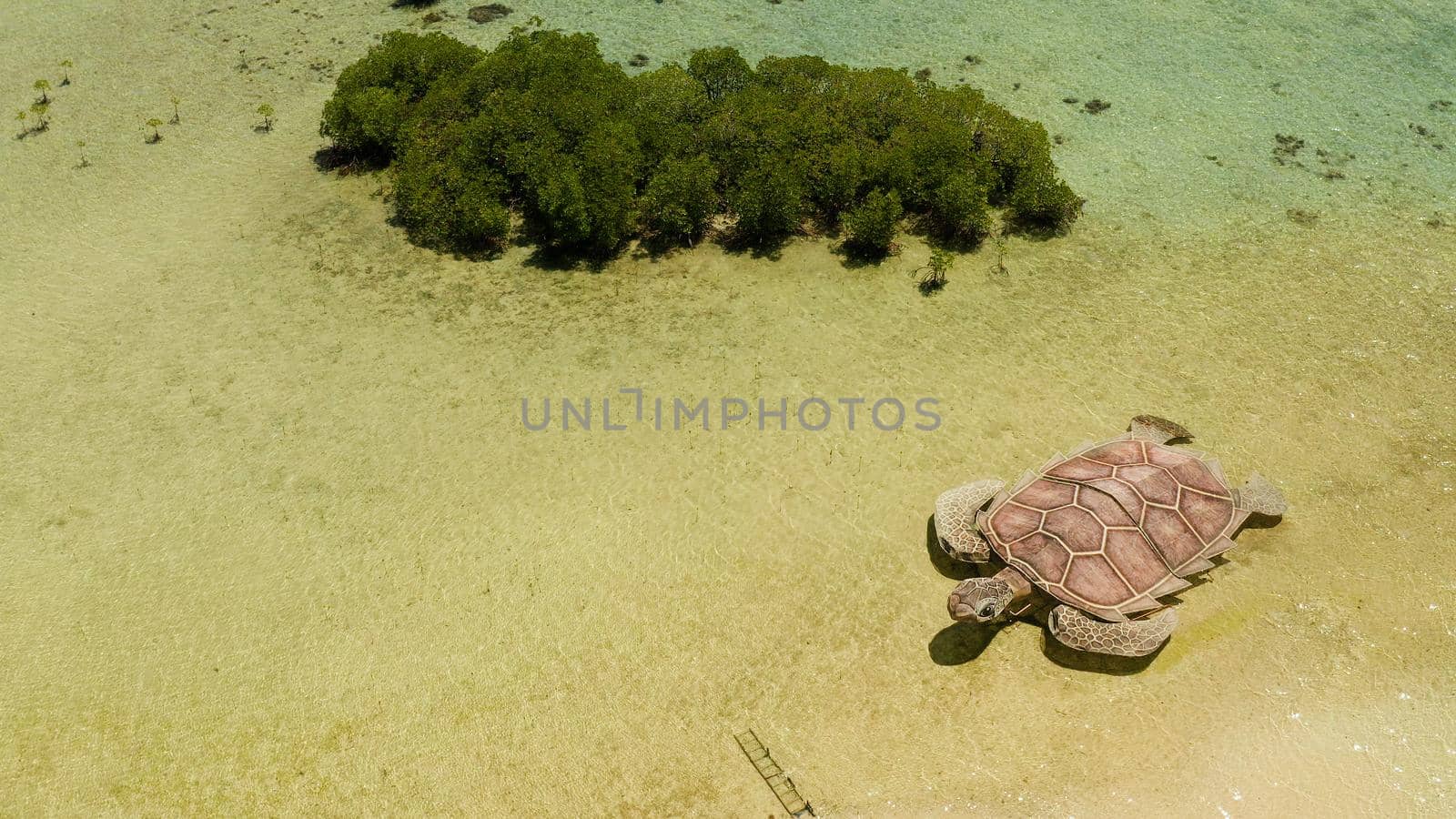 Tropical island with sand bar surrounded by coral reef and blue sea in honda bay, aerial view. Coral atoll with installation of a sea turtle on sandy beach. Summer and travel vacation concept, Philippines, Palawan