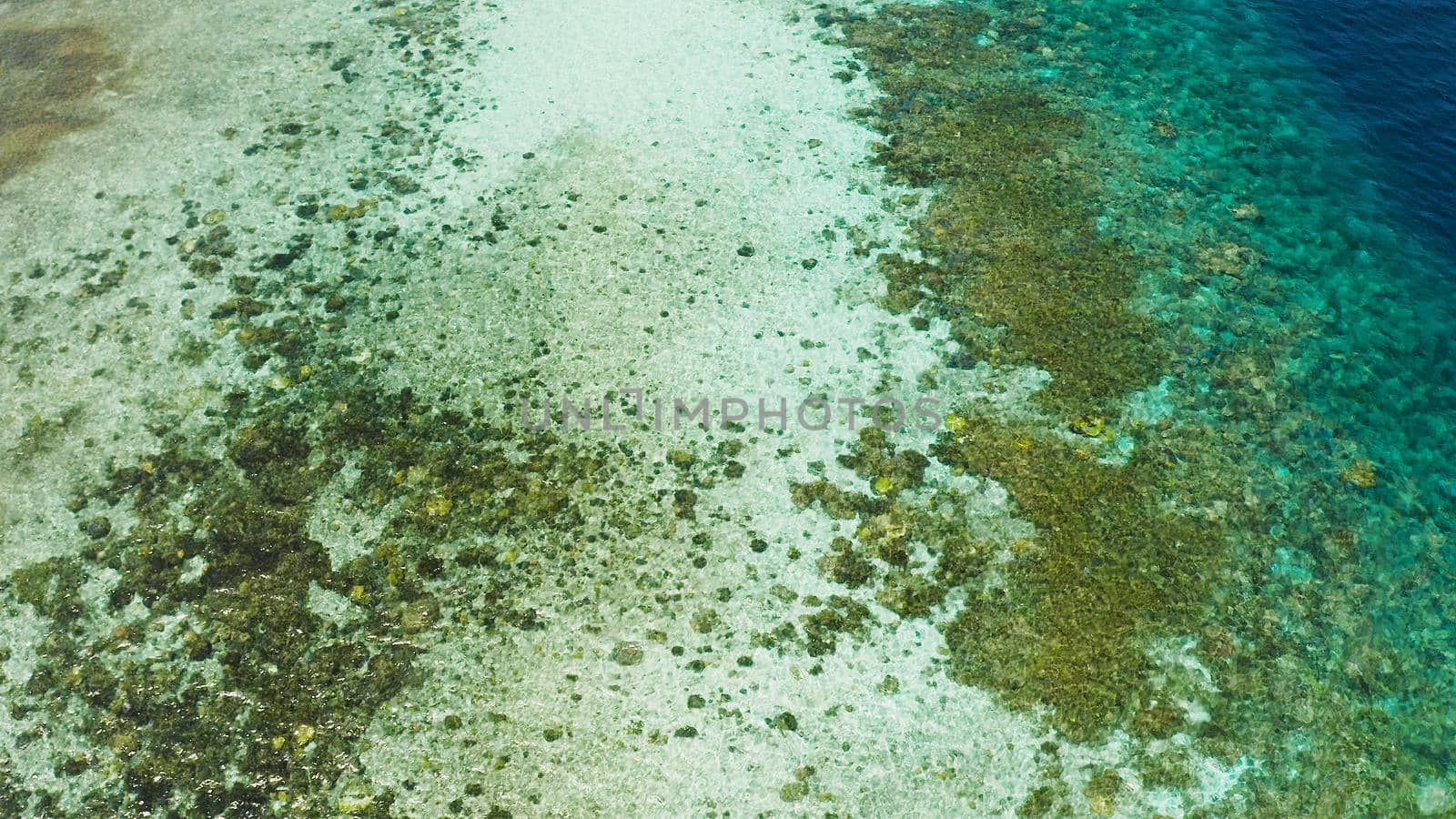 Sea water surface in lagoon with coral reef copy space for text. Top view transparent turquoise ocean water surface. background texture