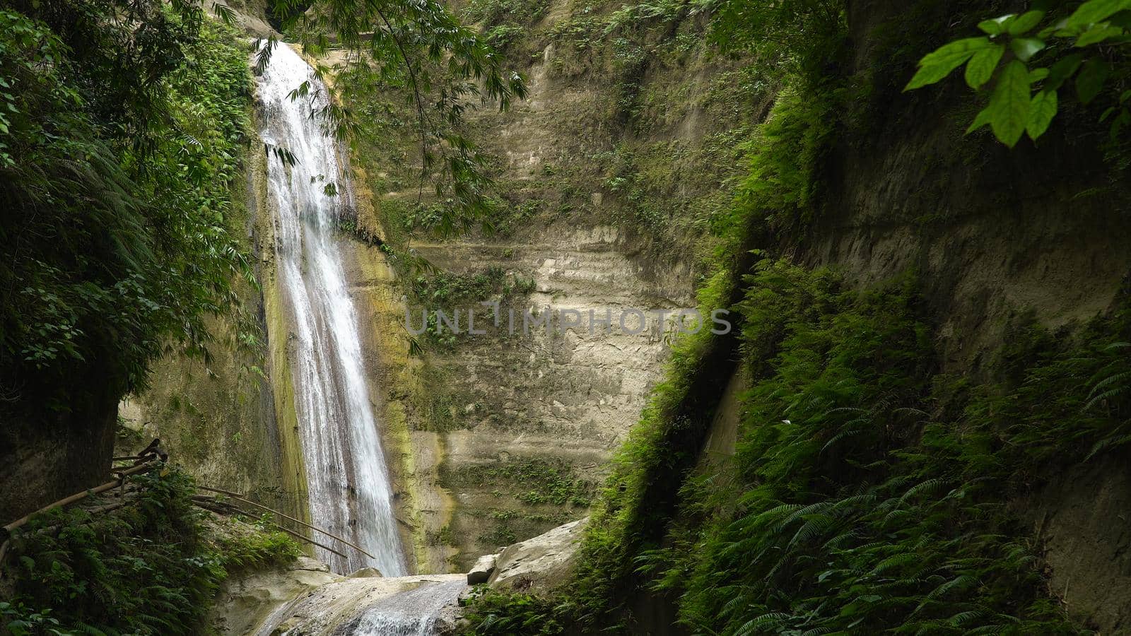 Waterfall in the rainforest jungle. Tropical Dao waterfalls in mountain jungle. Philippines, Cebu