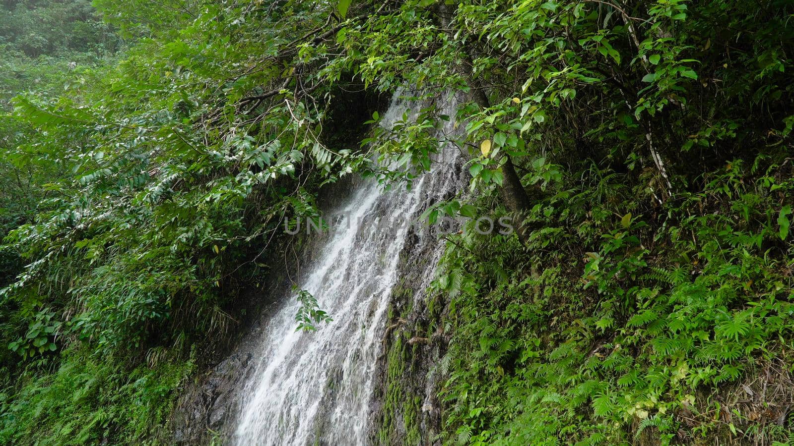 Waterfall in green forest in jungle. Beautiful waterfall in the mountains. Tropical rain forest with waterfall. Philippines, Cebu. Travel concept.