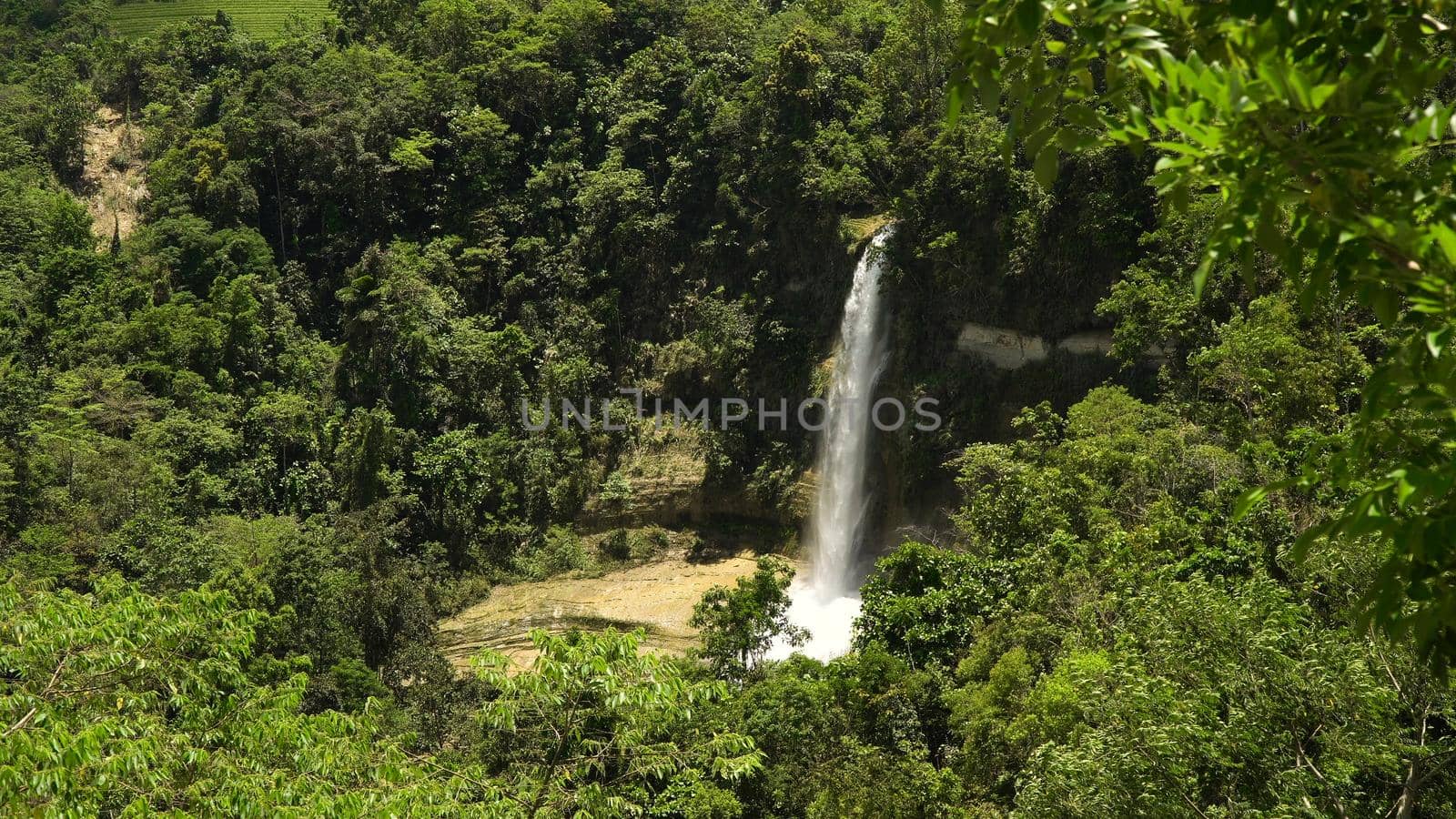 Tropical waterfall in green forest in jungle. Waterfall with natural swimming pool in a mountain river canyon. Philippines, Bohol.