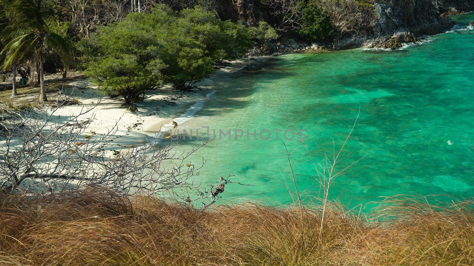 Wild sandy beach on tropical island with palm trees. Malcapuya, Philippines, Palawan. Tropical landscape with blue lagoon