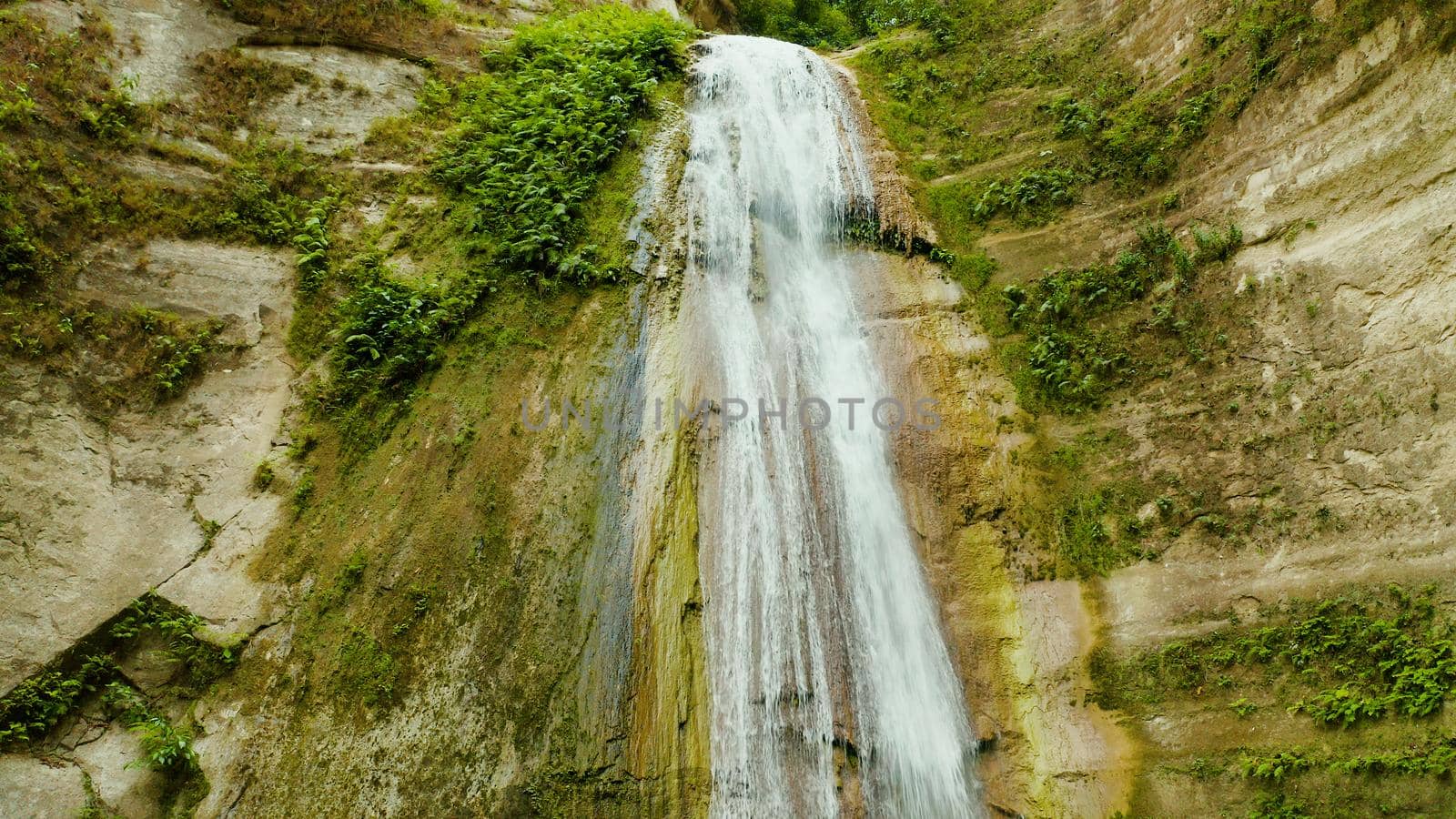 Beautiful waterfall in green forest. Tropical Dao Falls in mountain jungle, Philippines, Cebu. Waterfall in the tropical forest.