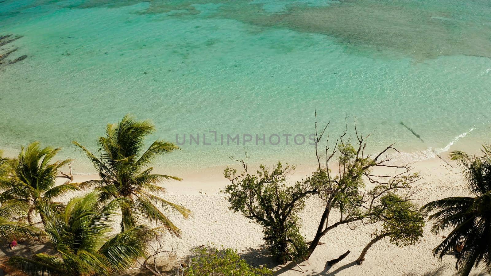 aerial view sandy beach on tropical island with palm trees and clear blue water. Malcapuya, Philippines, Palawan. Tropical landscape with blue lagoon