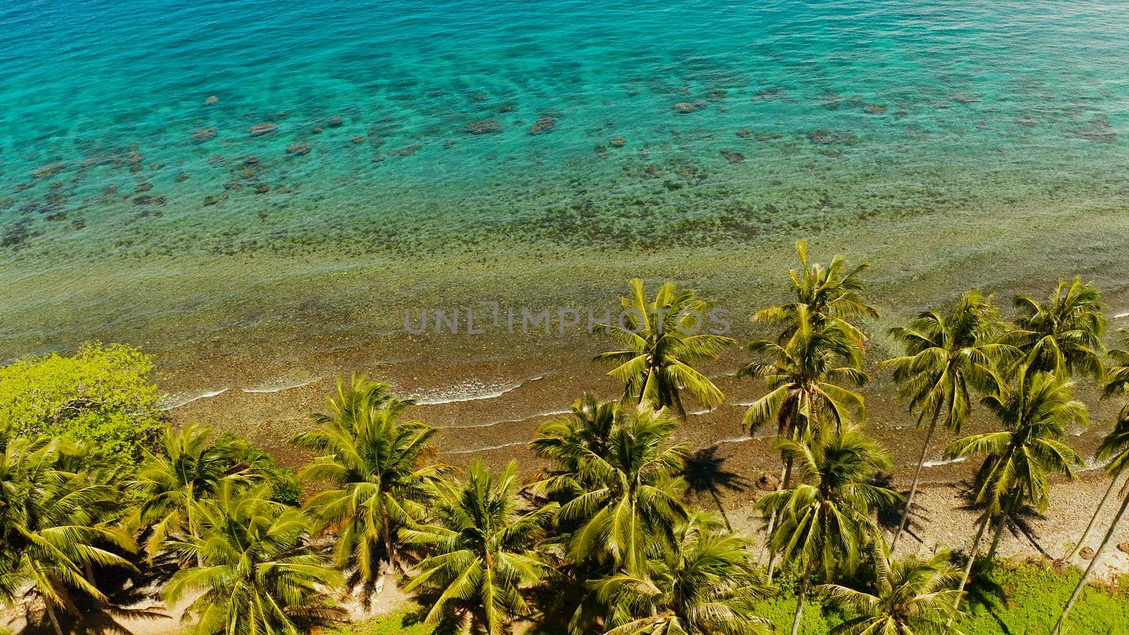 Landscape with coconut trees and turquoise lagoon, view from above. Seascape with palm trees and a pebbly beach, Philippines, Camiguin,aerial view.
