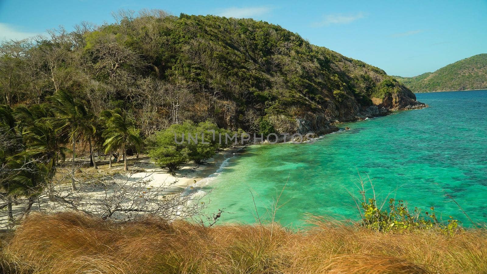 Beach on a tropical island with palm trees.. Malcapuya, Philippines, Palawan. Tropical landscape with blue lagoon.