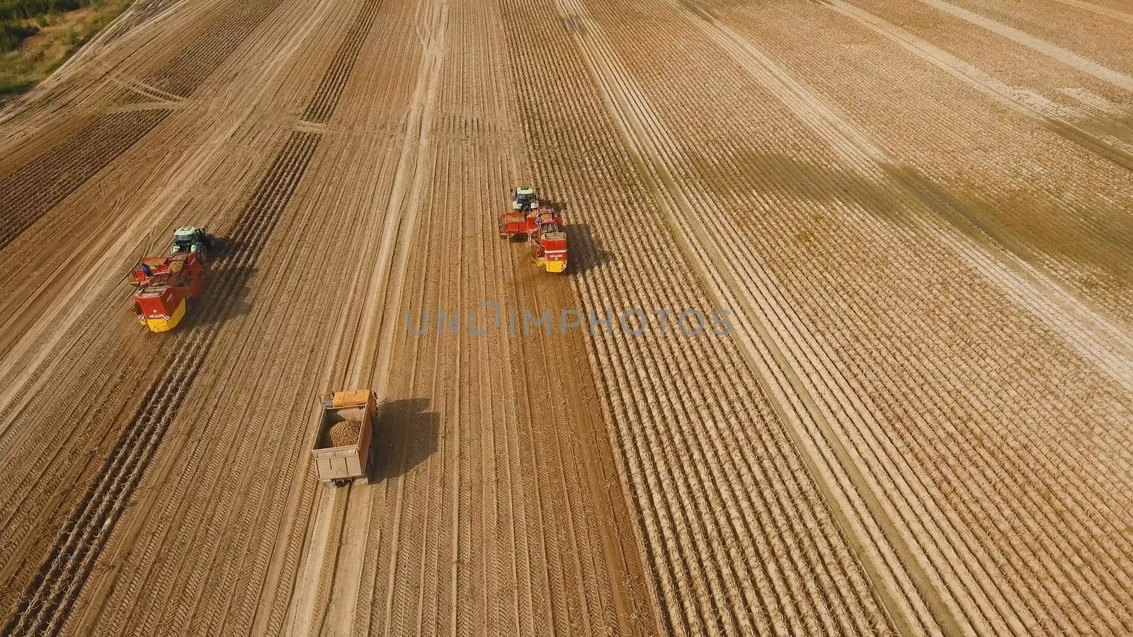 Farm machinery harvesting potatoes. Farmer field with a potato crop.