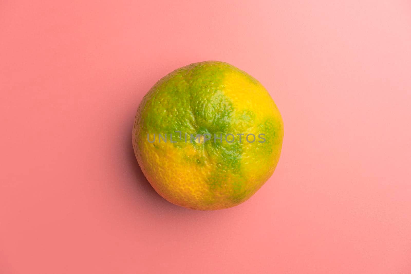 mandarin on a pink background. the view from the top. High quality photo