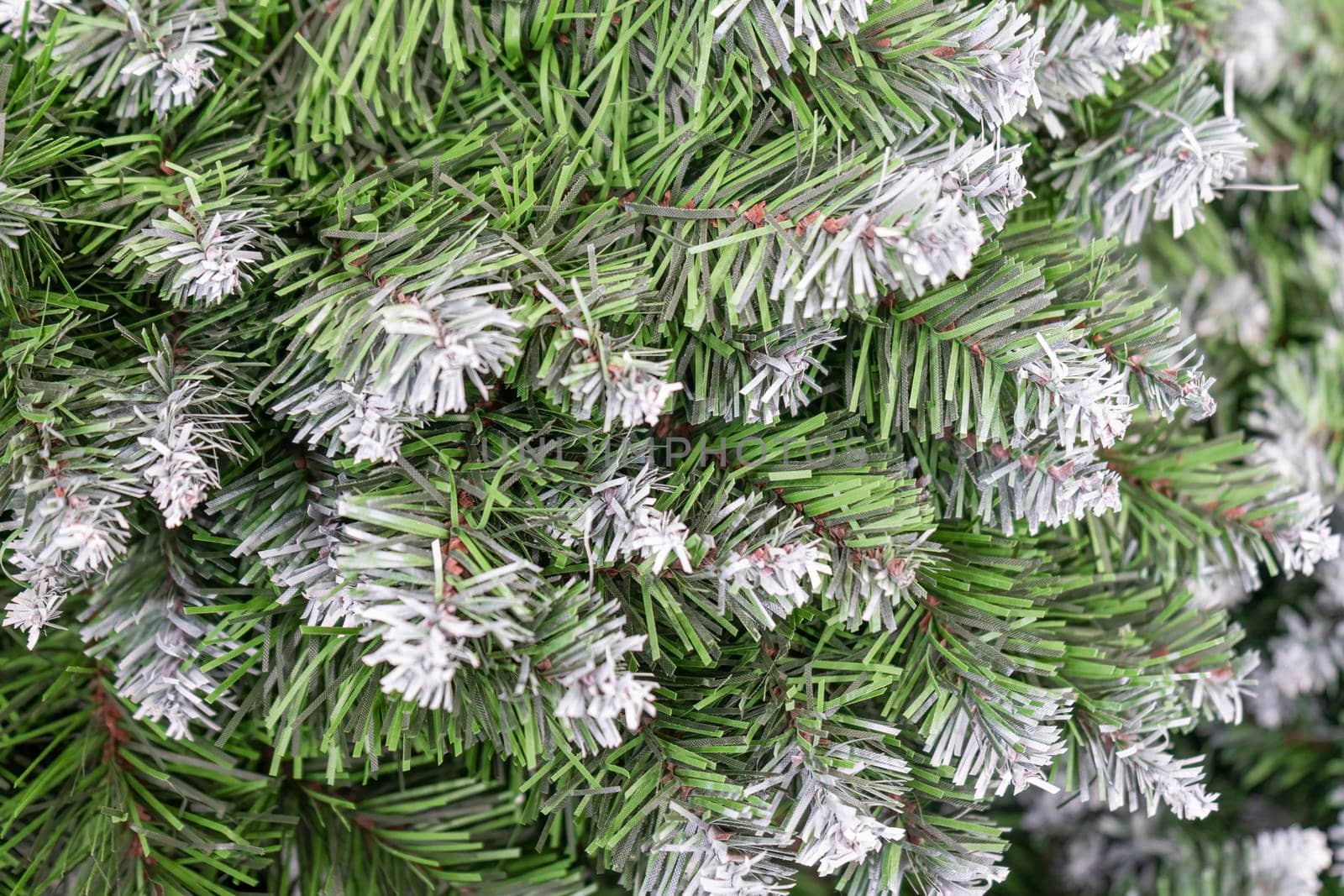 pine branch with a cone close up against the blue sky. High quality photo