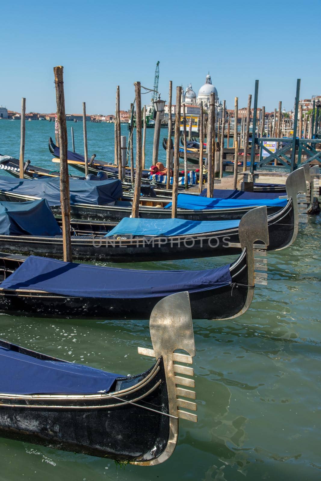 discovery of the city of Venice and its small canals and romantic alleys, Italy