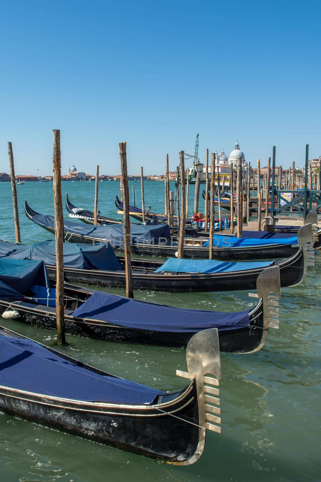 discovery of the city of Venice and its small canals and romantic alleys, Italy