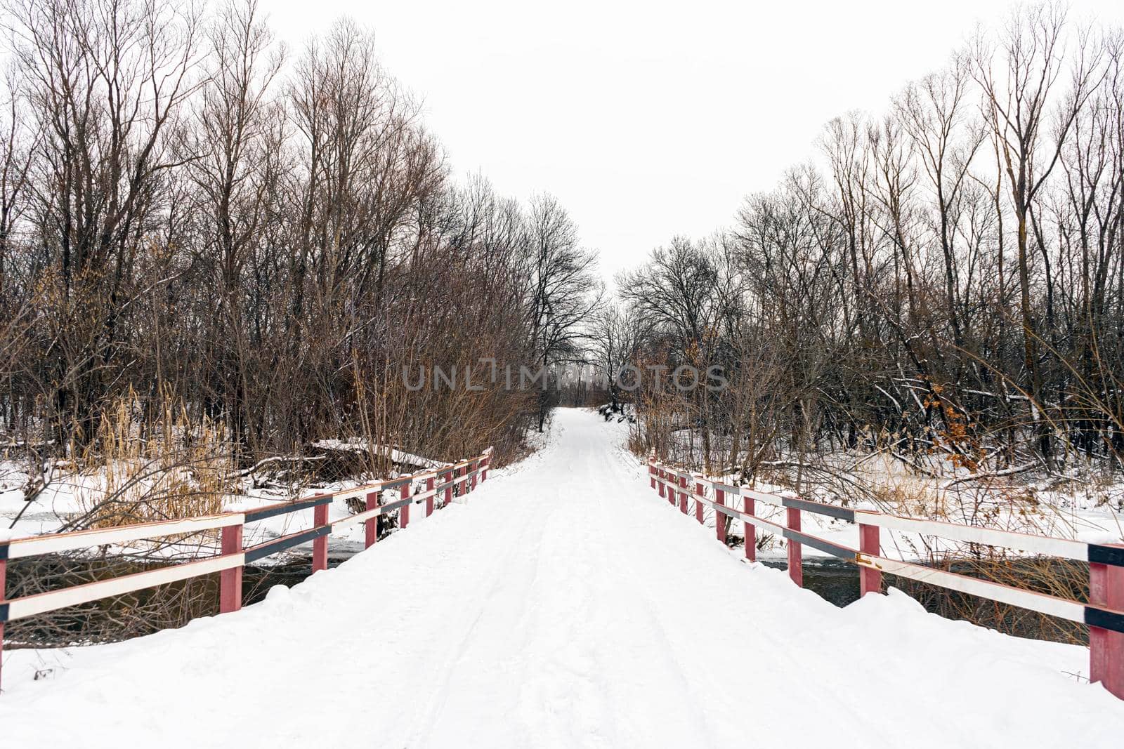 winter road across the river in the snow-covered forest. High quality photo