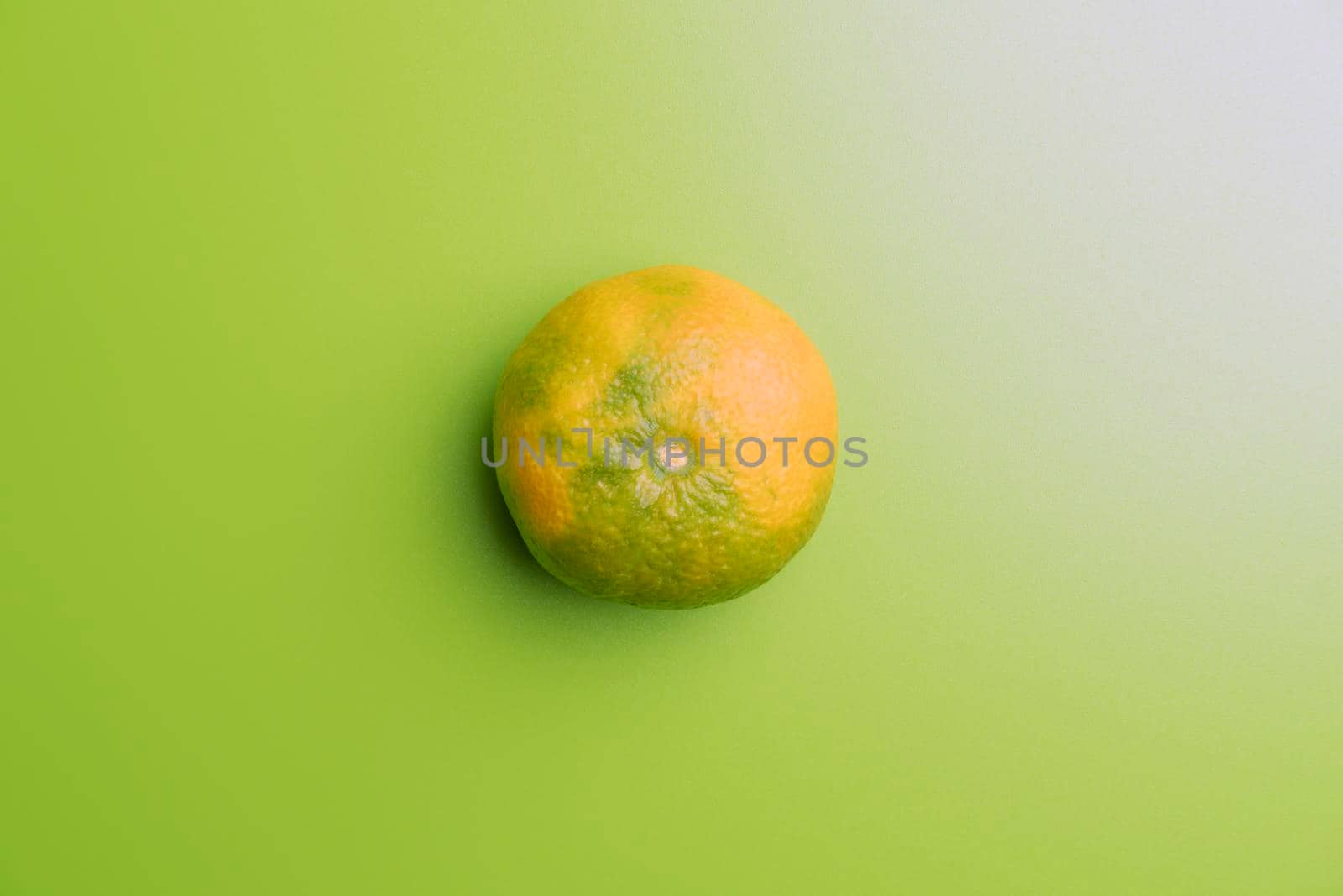 mandarin on a green background. the view from the top. High quality photo