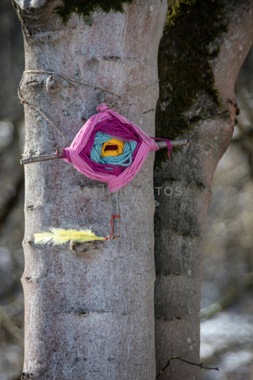 Magic protection symbol with feather hangs on tree