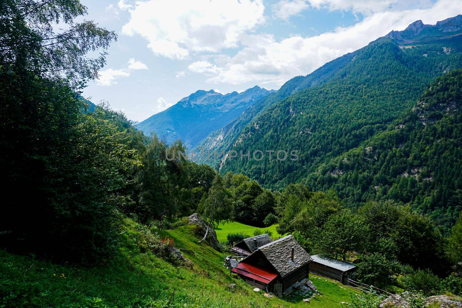 View down the Val Lavizzara over alp with traditional houses near Fusio, Switzerland by pisces2386