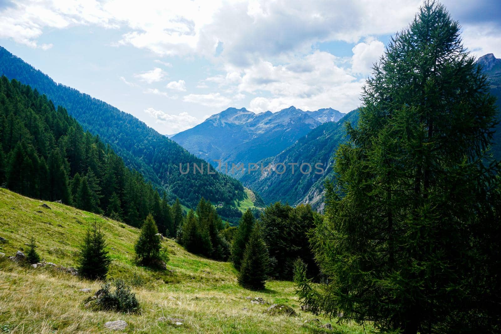 Beautiful view over the Lavizzara valley near Fusio, Ticino, Switzerland