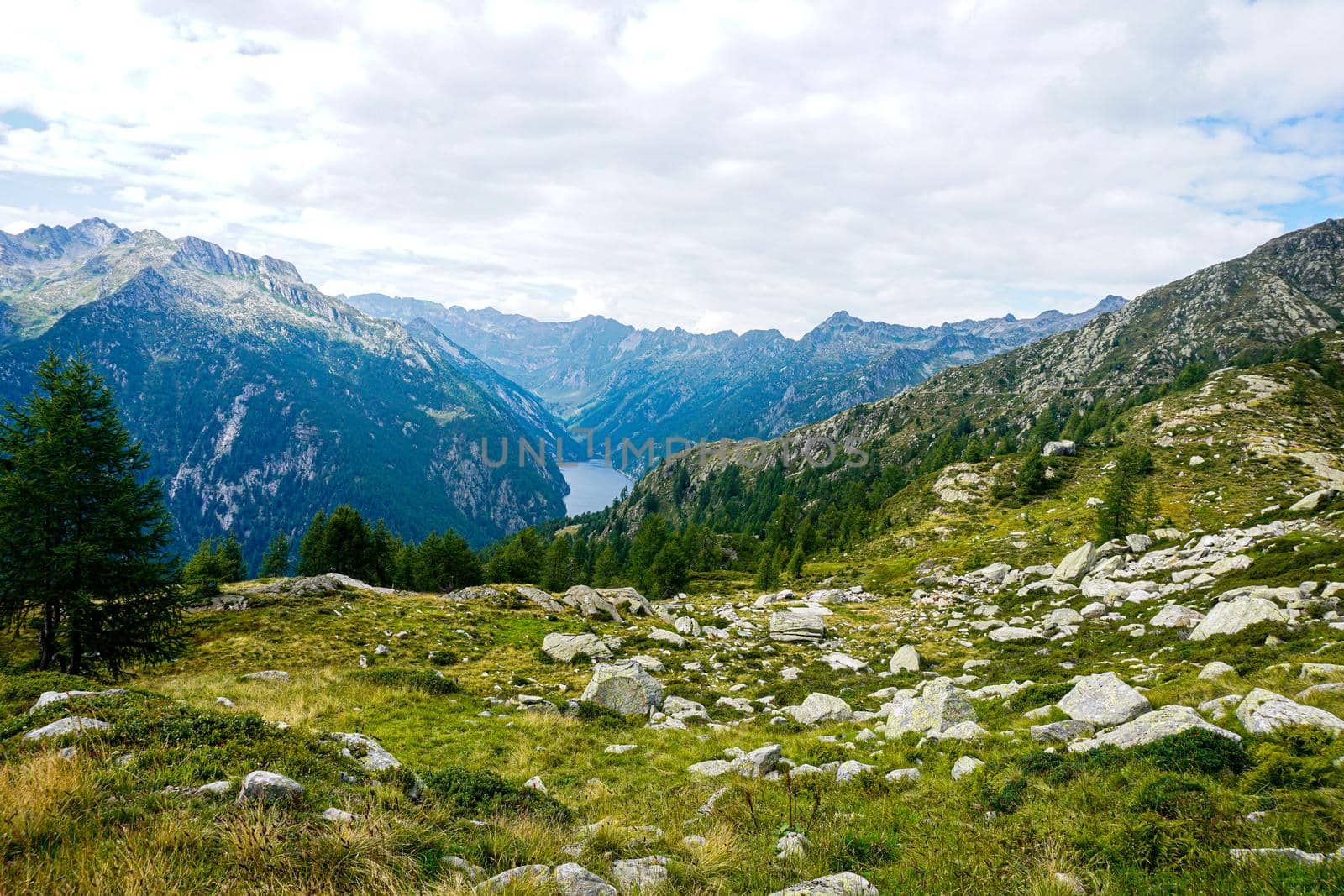 View to the Lago del Sambuco from the Corte della Sassina alp, Switzerland by pisces2386