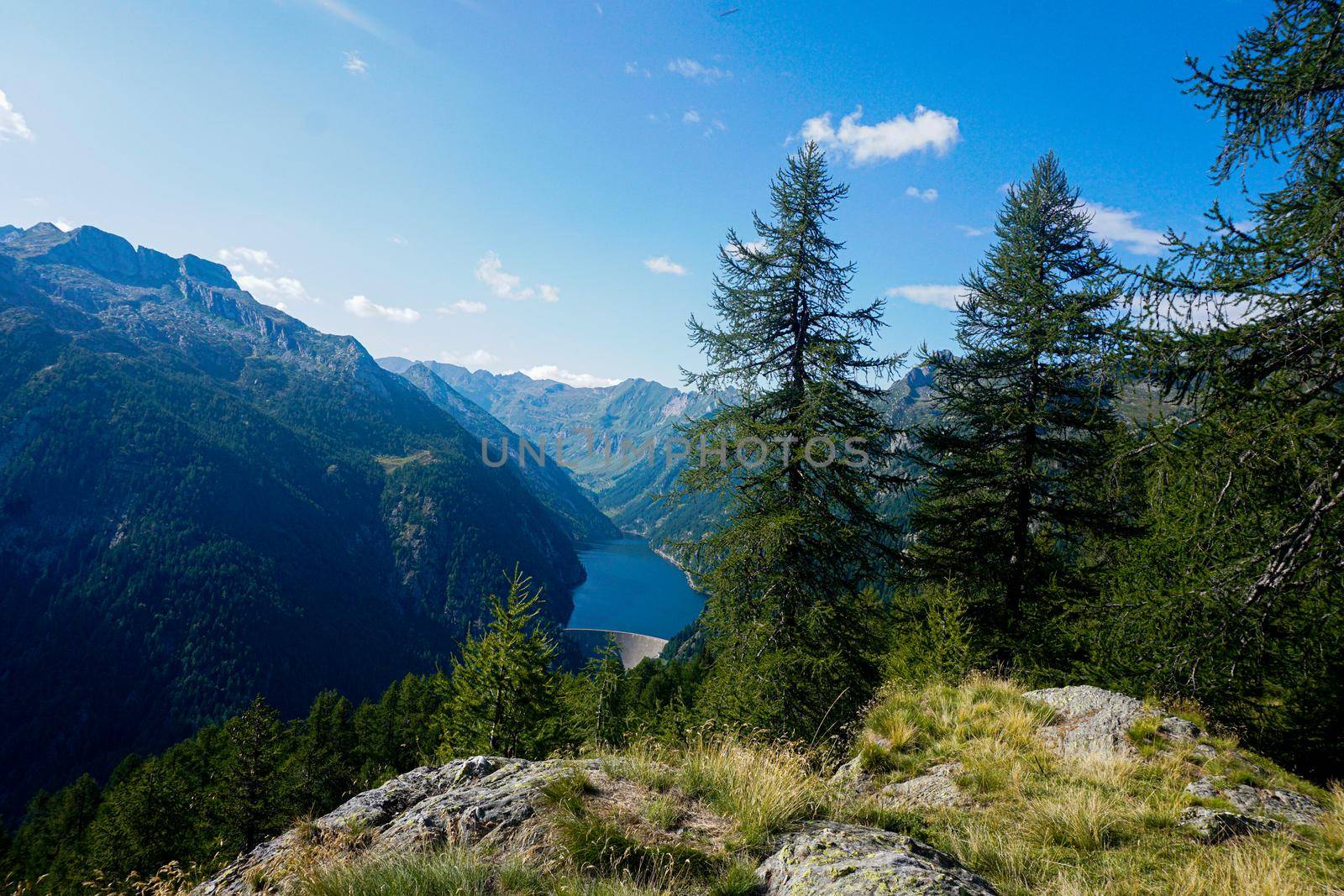 Panoramic view on the Lago del Sambuco with two larch trees