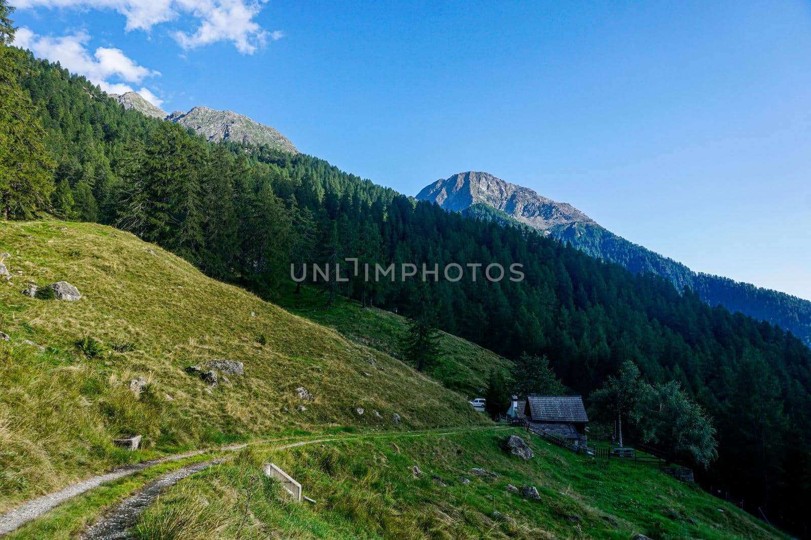 The alp Vacarisc di Fuori near Fusio, Ticino by pisces2386