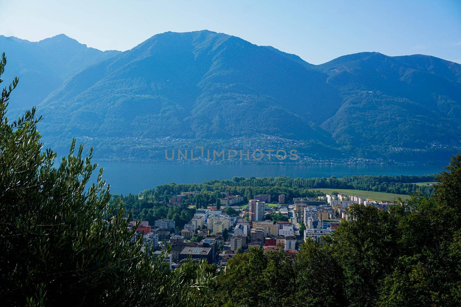 View from Orselina over houses in Locarno to the Lago Maggiore, Switzerland by pisces2386