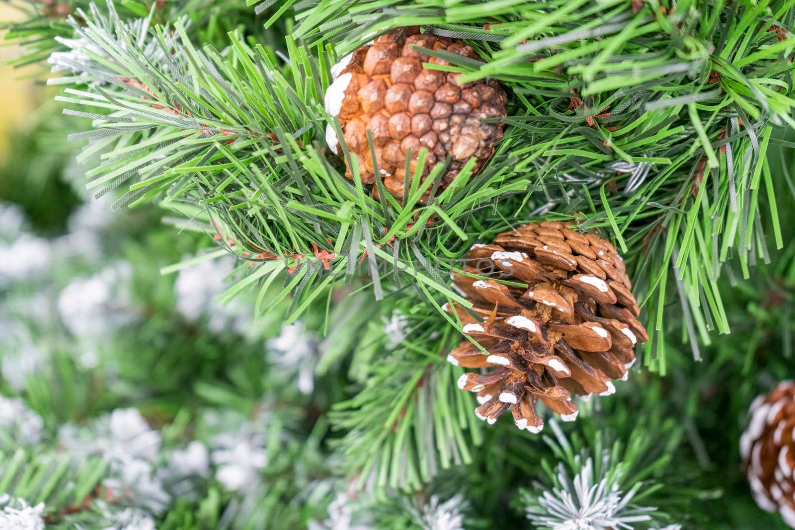 pine branch with a cone close up against the blue sky. High quality photo