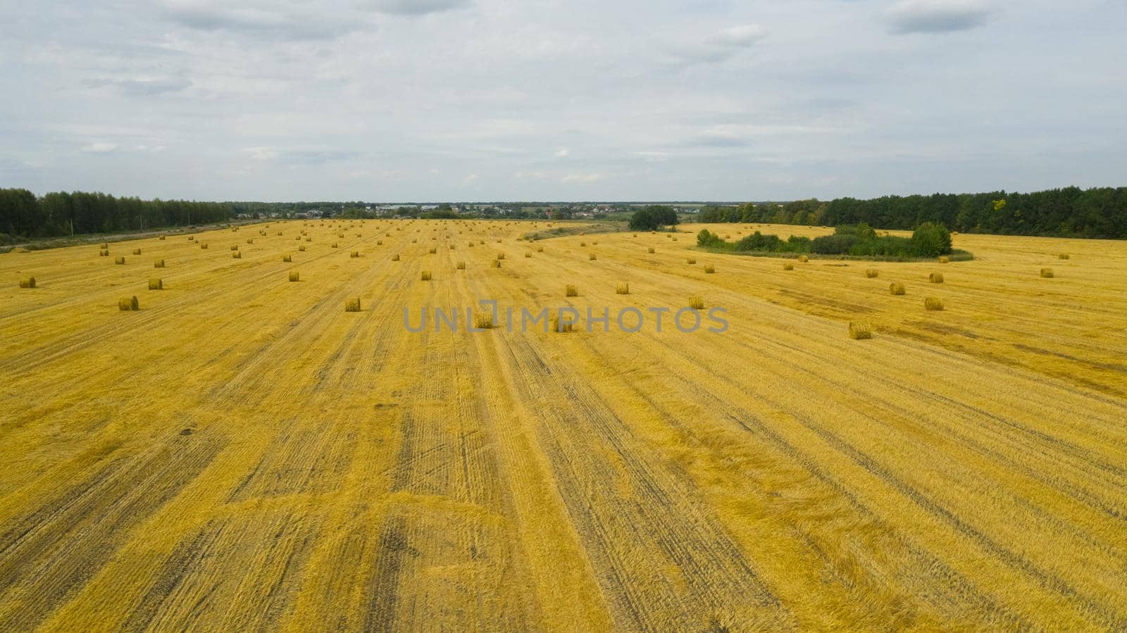 Aerial view of a mowed field of wheat with abandoned sheaves of straw. Wheatfield with sheaves after harvest.