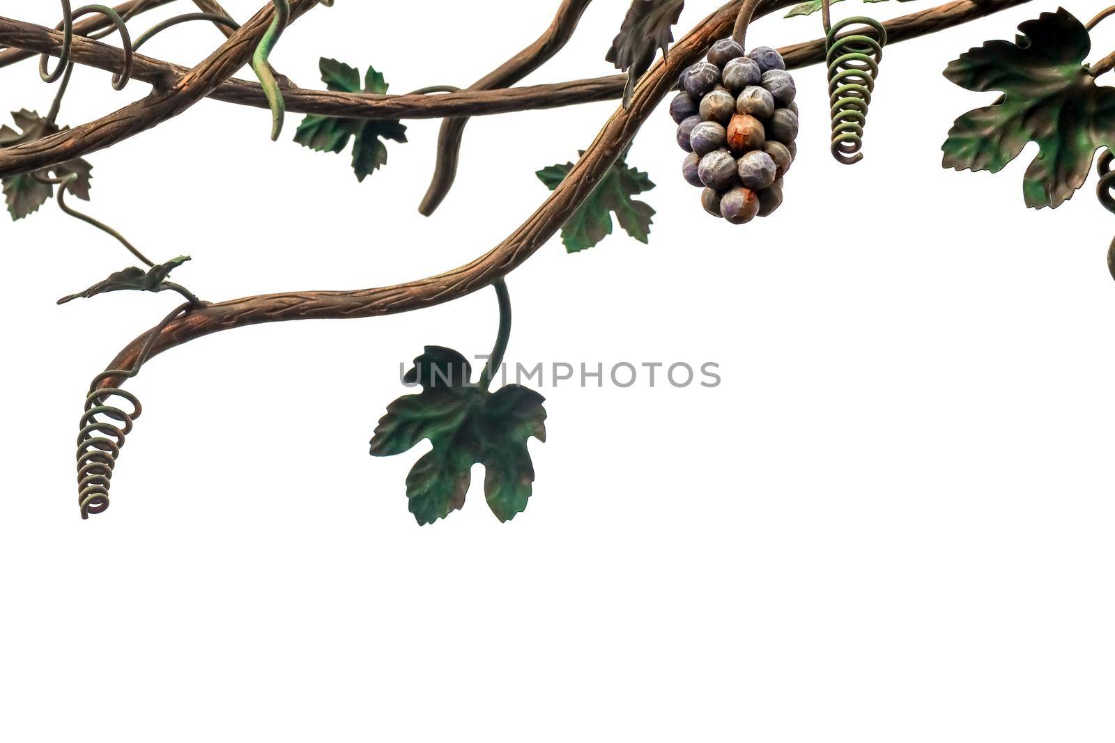 metal vine on a white background isolate  by roman112007