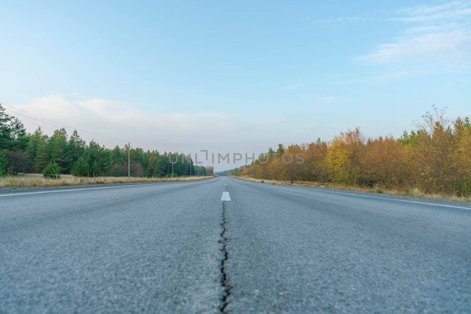 road in the autumn forest as a background. High quality photo