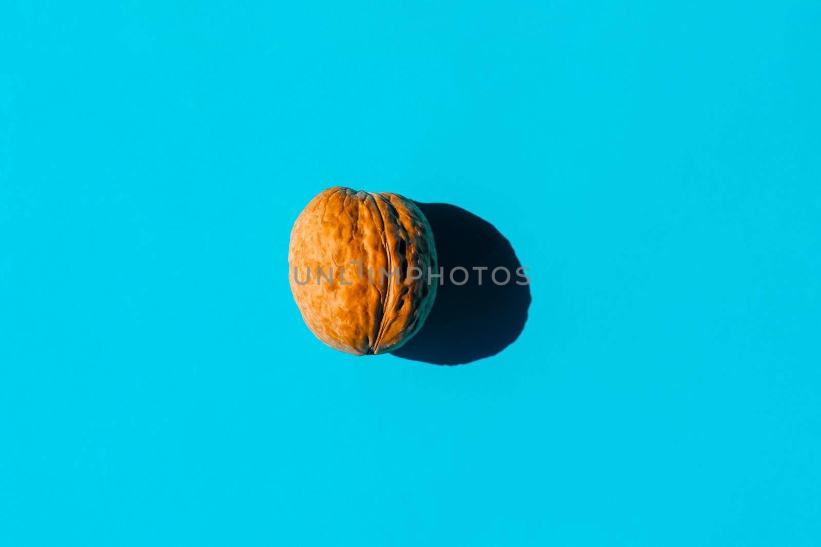 walnut with a hard shadow on a plain background. the view from the top. blank for the pattern. High quality photo