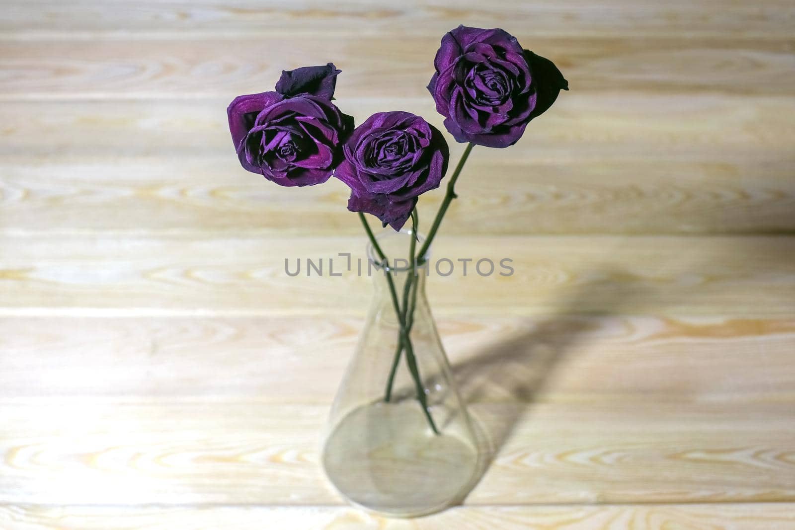 dried roses in a test tube as background. High quality photo