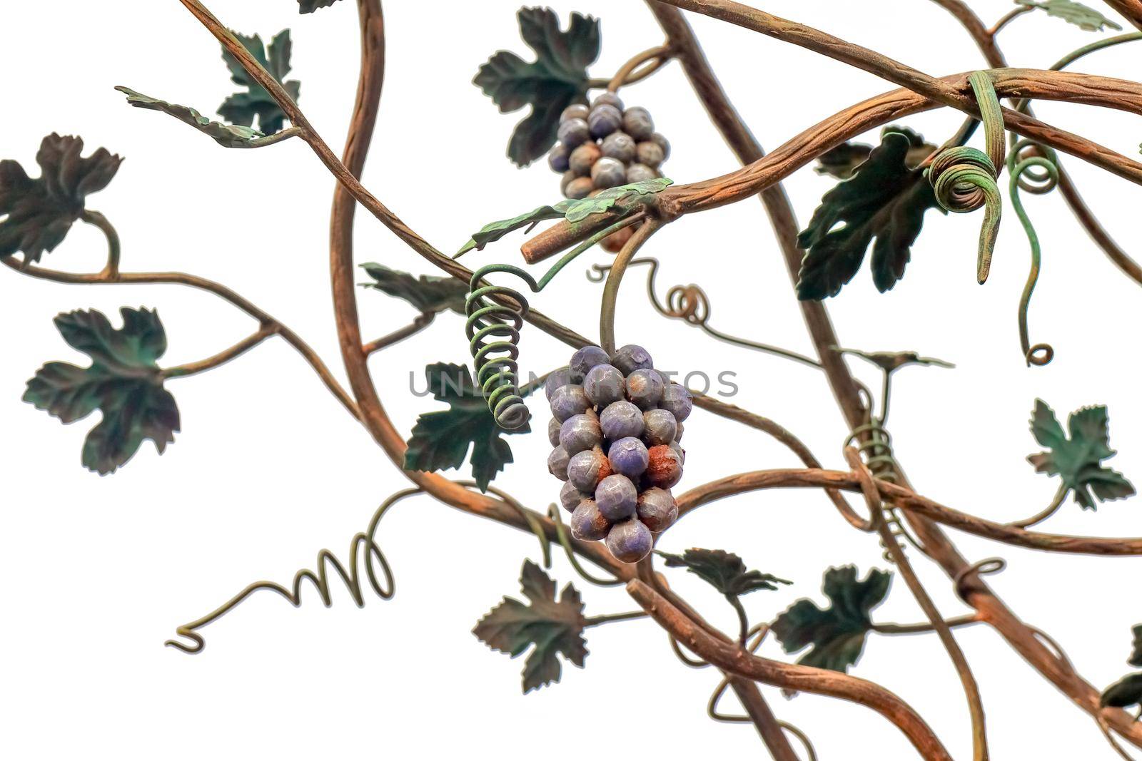 metal vine on a white background isolate . High quality photo