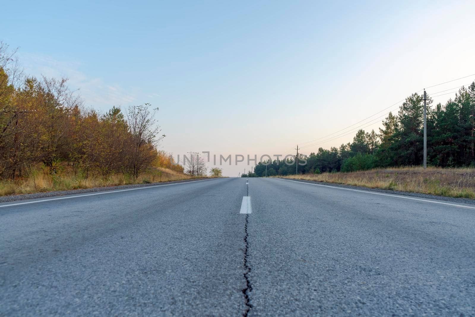 road in the autumn forest as a background. High quality photo