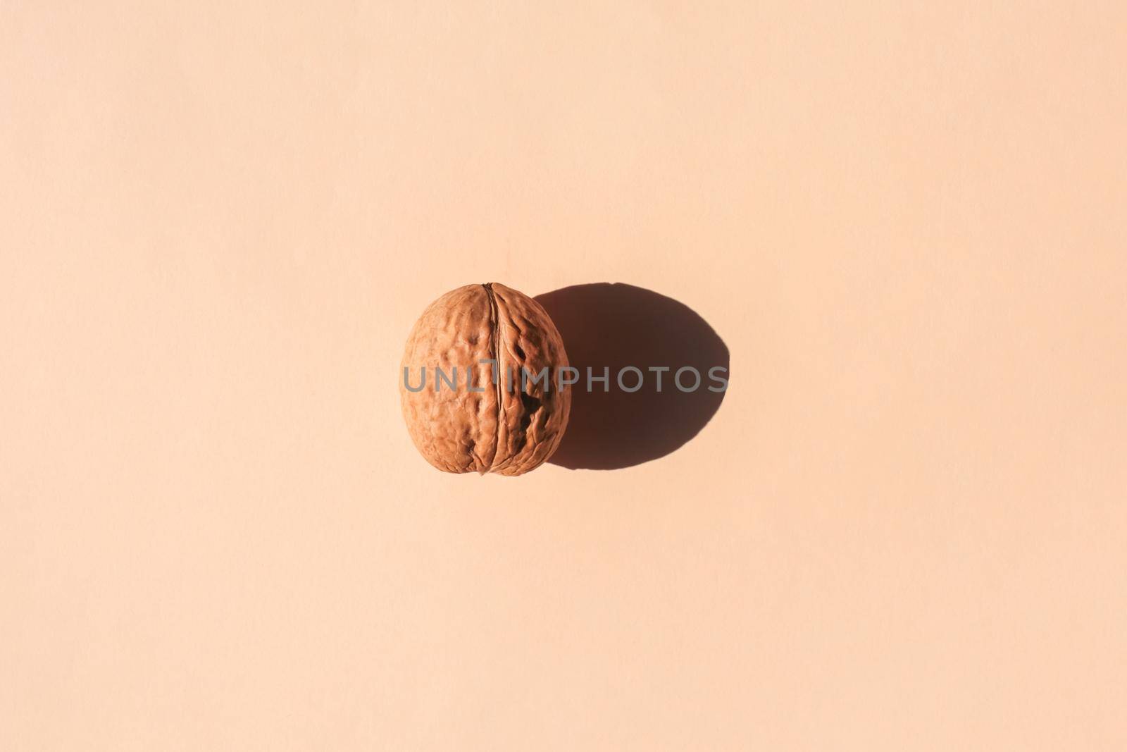 walnut with a hard shadow on a plain background. the view from the top. blank for the pattern. High quality photo