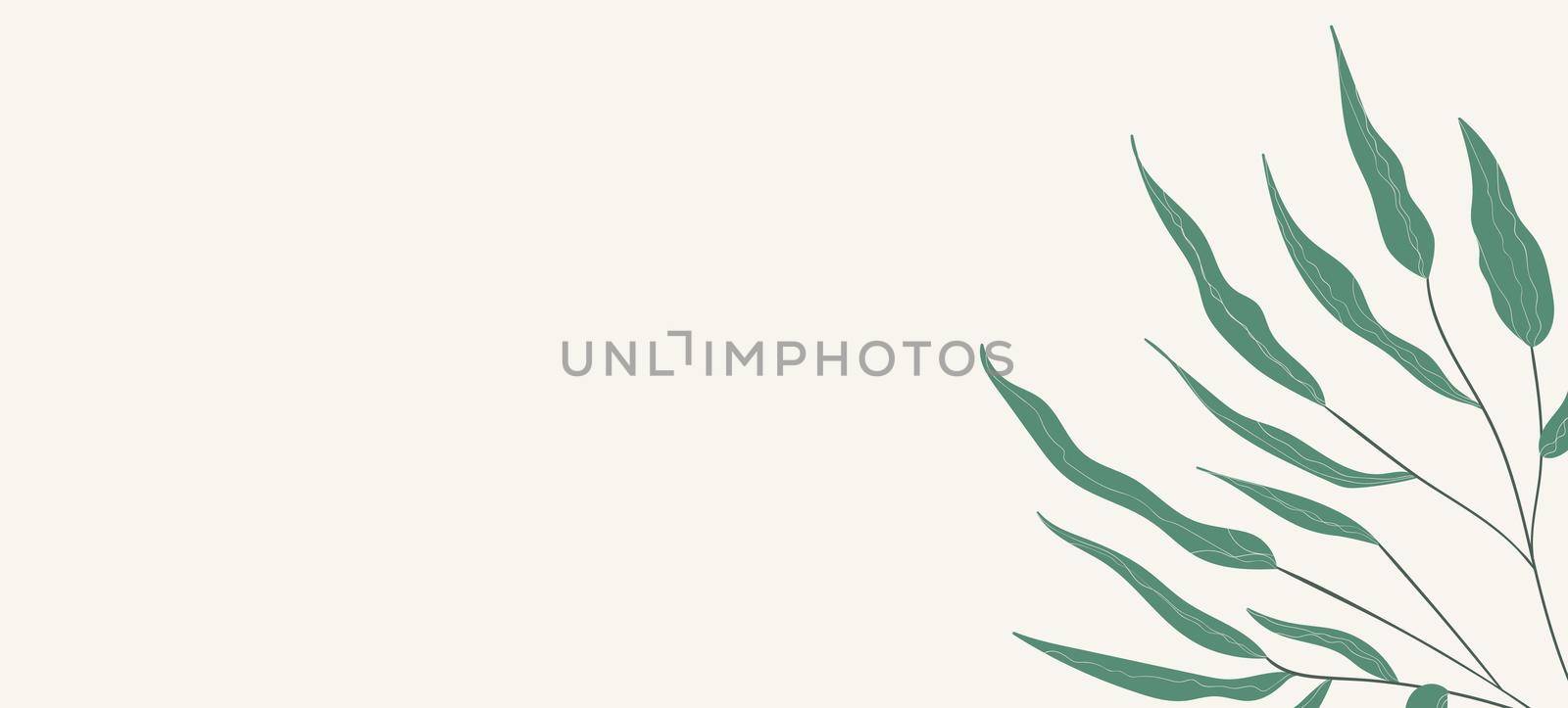 Floral web banner with drawn color exotic monstera leaves. Nature concept design. Modern floral compositions with summer branches. Vector illustration on the theme of ecology, natura, environment by allaku