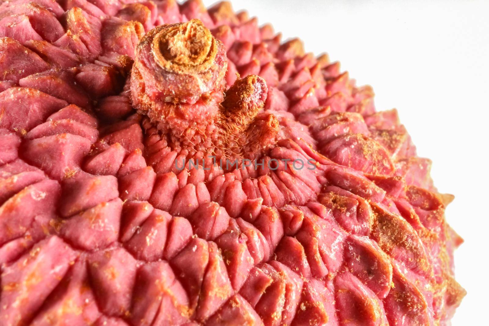 lychee fruit on the background of close-up macro . High quality photo