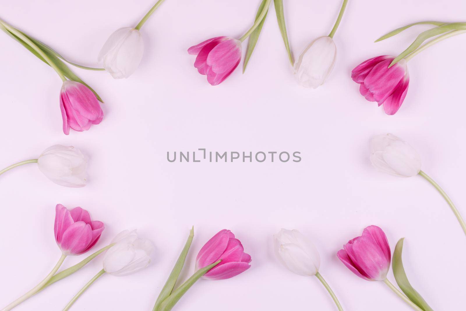 Frame made of colourful tulips Valentines day or easter spring background