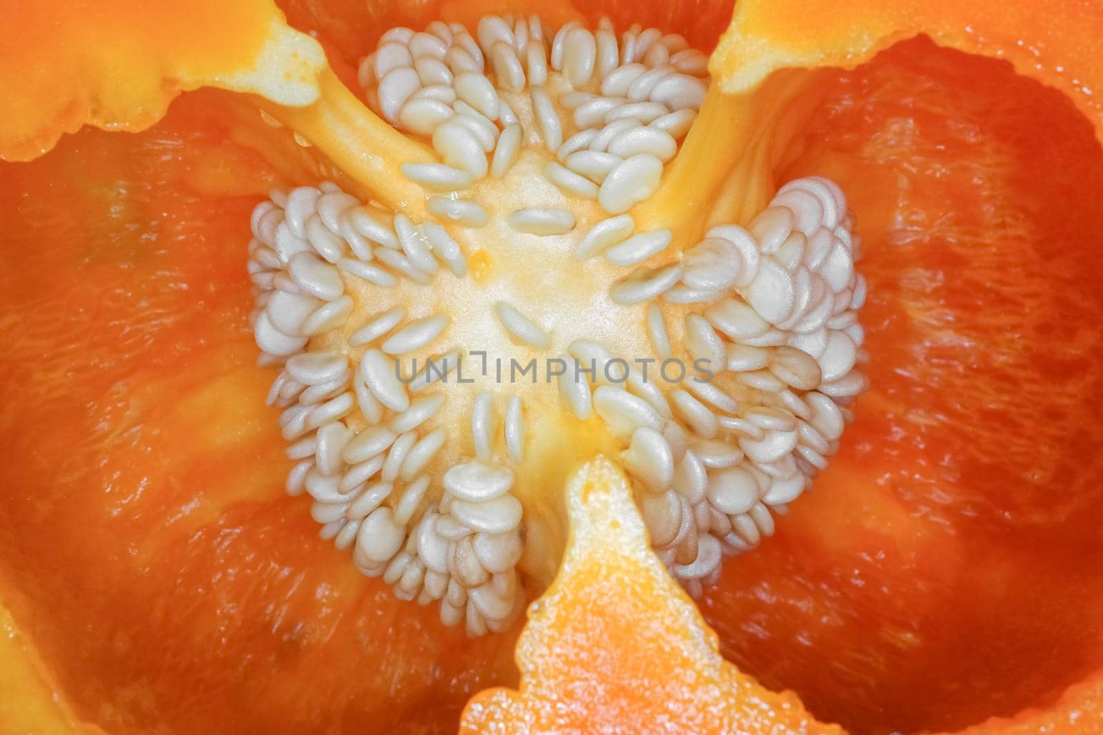 orange bell pepper in the macro section. High quality photo