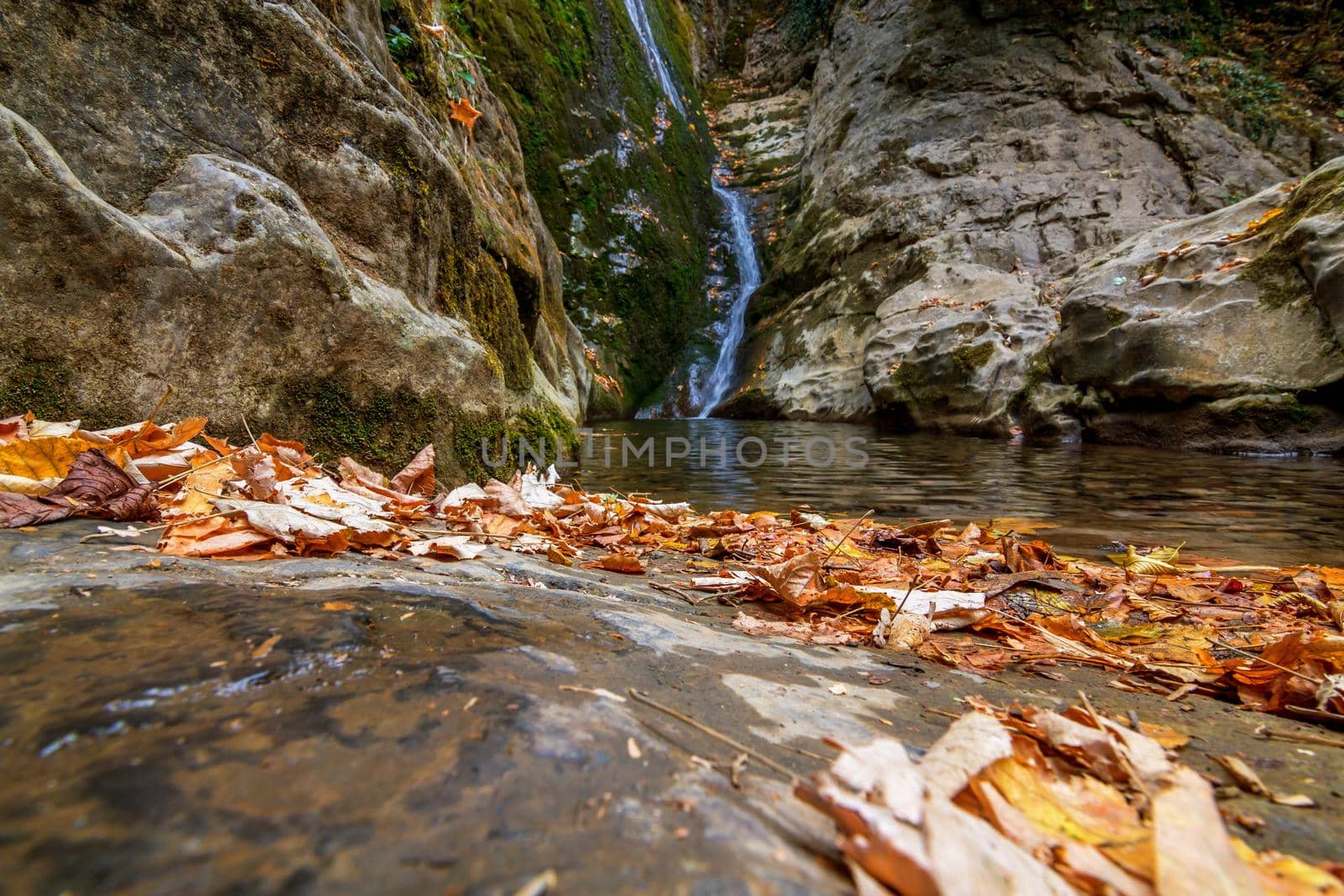 beautiful waterfall in forest autumn landscape. Beauty world