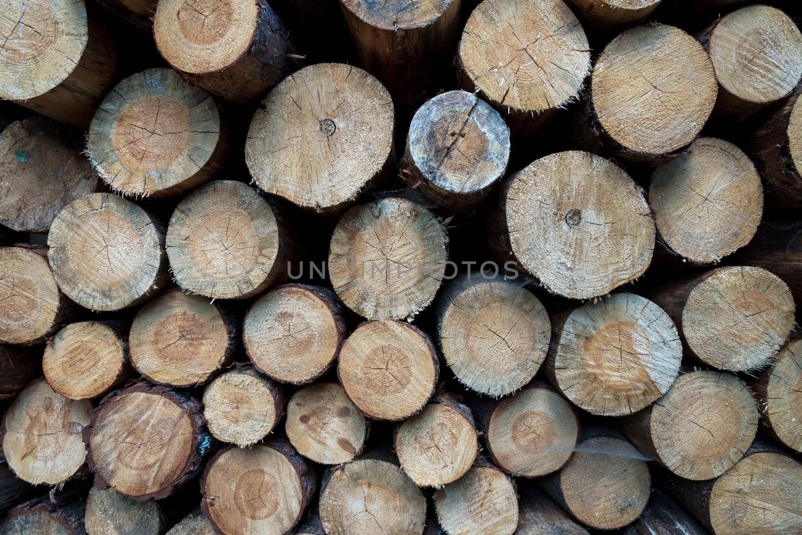 A pile of firewood. Wood texture background.