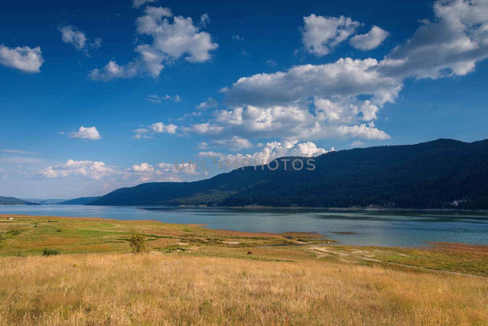 Beautiful Panorama of the lake Dospat in Bulgaria in Summer