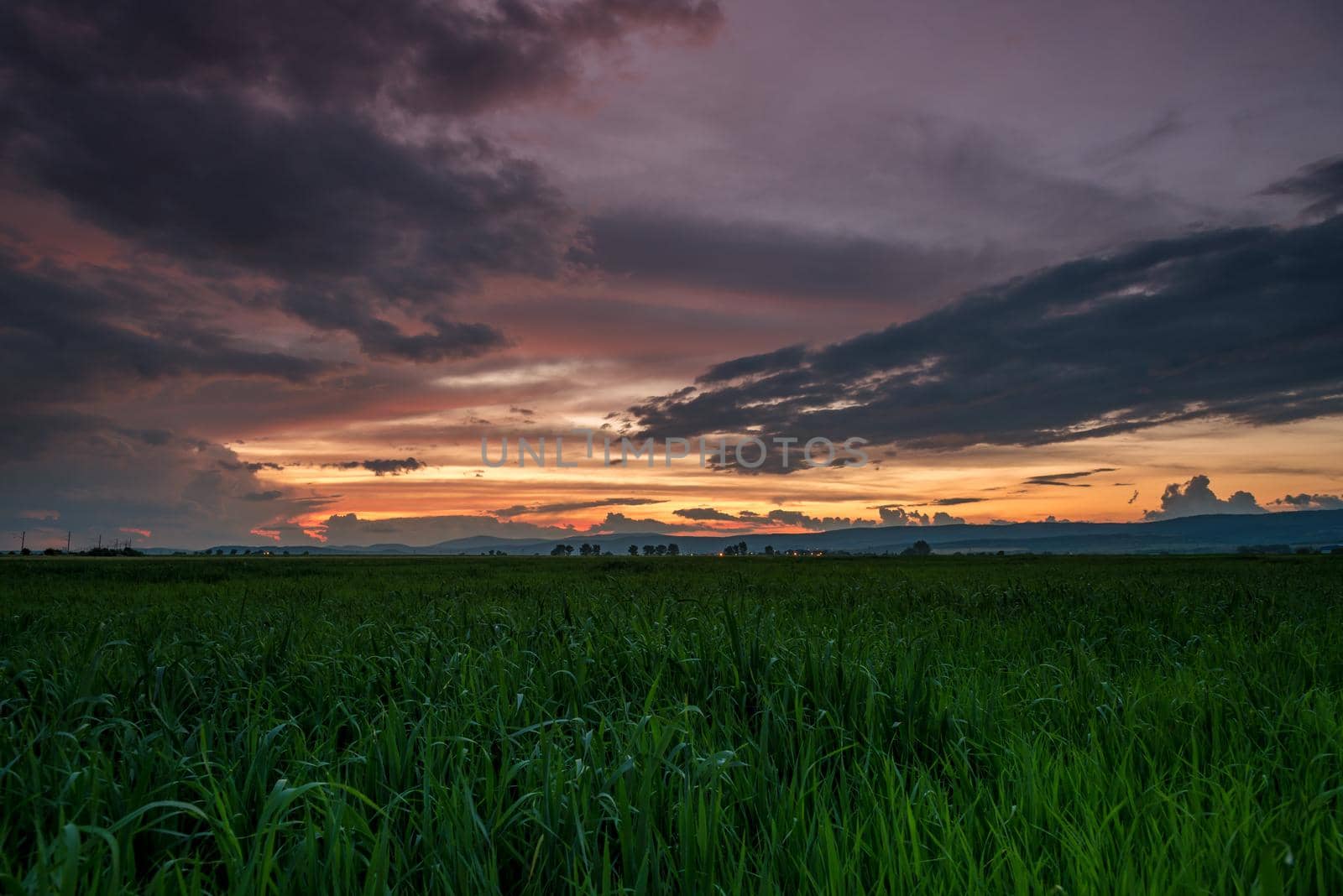 Dramatic sunset over a field in summer 